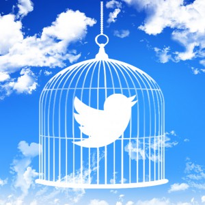 Twitter en cage