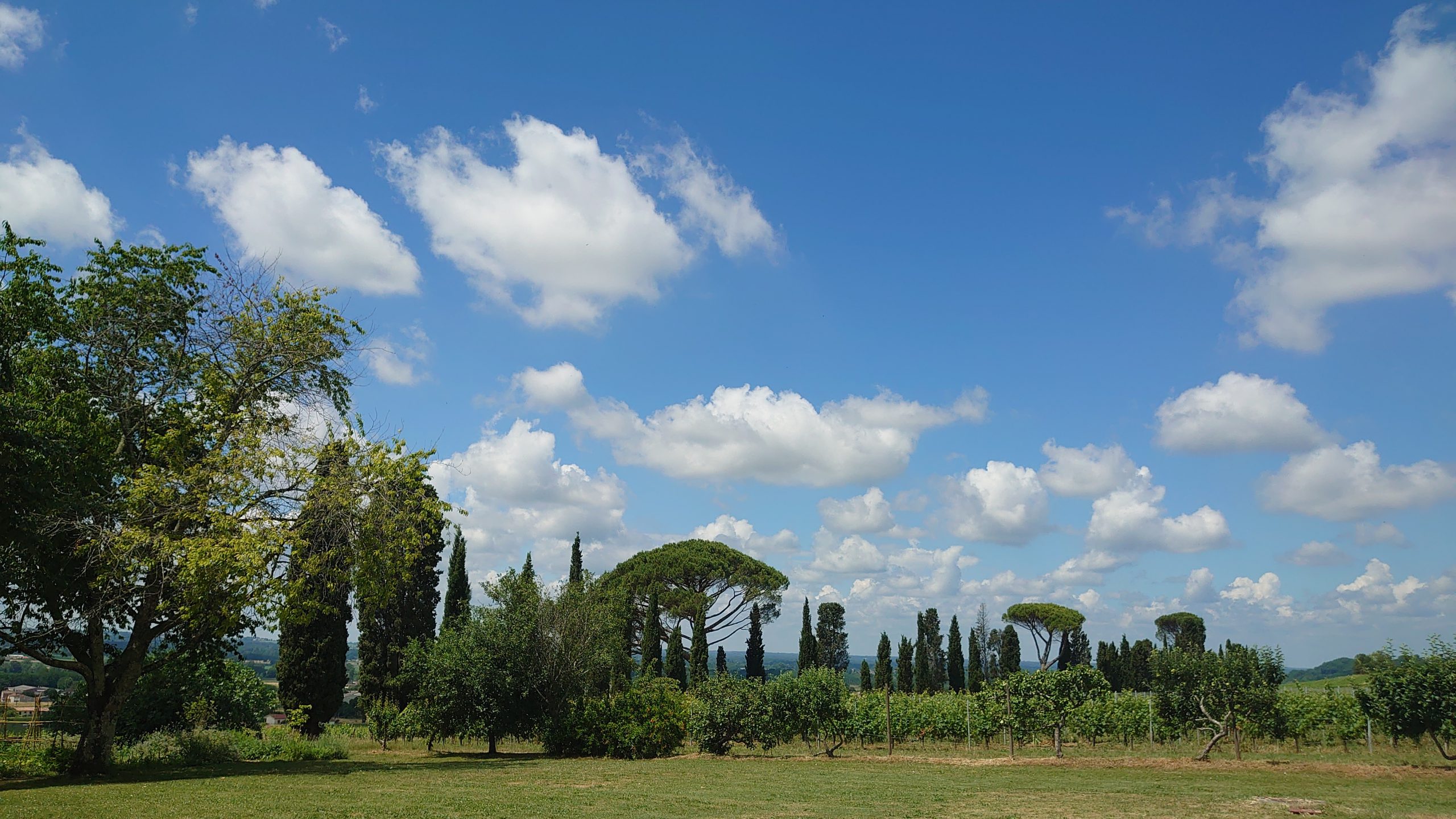 Domaine de Malagar Saint-Maixant